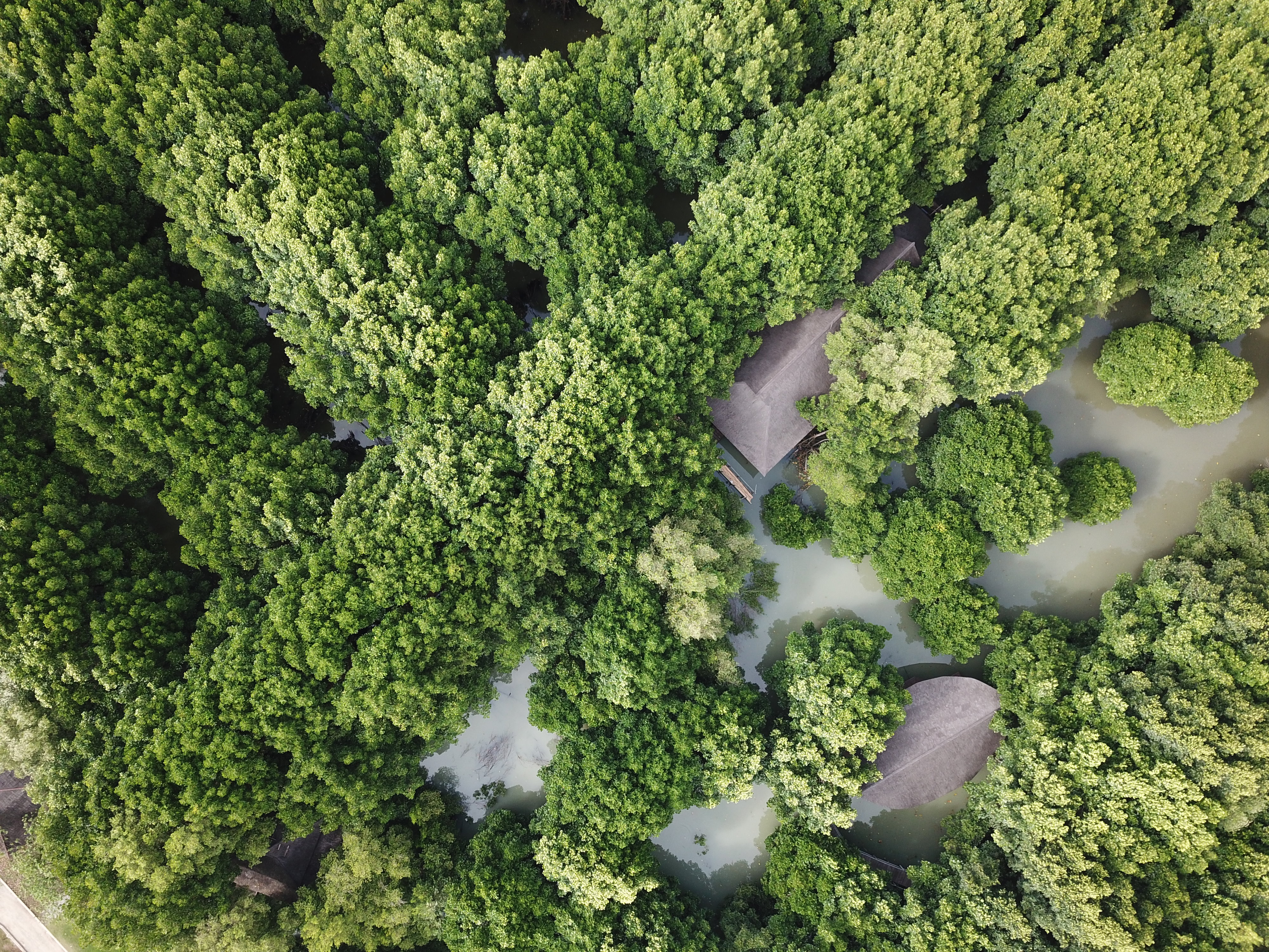 Drone Mapping Certification